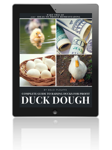 The Complete Guide to Raising Ducks (for Profit too!)