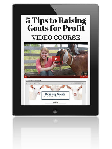 Raising Goats for Profit: 5 Tips Mini-Course